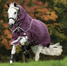 layer 450g heavy turnout rug