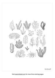 Coloring page full of aquatic creatures and plant species. Ocean Plants Coloring Pages Free Plants Coloring Pages Kidadl