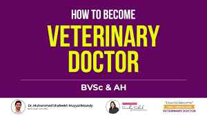 how to become a veterinary doctor in