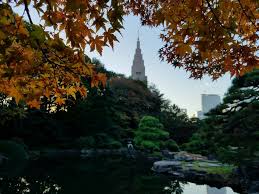 autumn at shinjuku gyoen