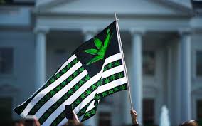 First, you need to create a profile in the medical marijuana registry which includes basic information such as your legal name, current address, and contact information. 5 Easy Ways To Find Weed In Dc Ghouse Dc Ghouse Dc