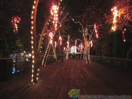 holiday lights sparkle at gilroy gardens
