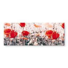 Canvas Red Poppies Wall Art Nl