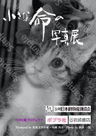 小さな命の写真展｜公益財団法人 日本動物愛護協会