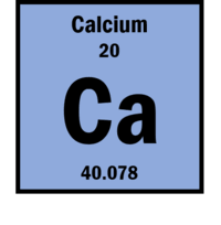 Calcium - Energy Education
