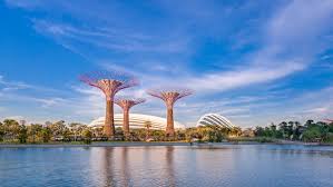 gardens by the bay singapore sky