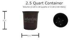 how-big-is-a-quart-pot
