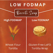 low fodmap build your own burrito swaps