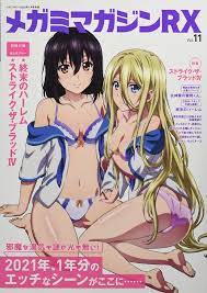 Megami Magazine RX Vol.11 January 2022 issue Book world's end harem  Anime Japan | eBay