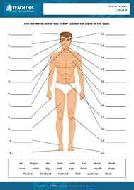 Pictures also help clarify the meanings of vocabulary and language. Parts Of The Body Esl Games Activities Worksheets