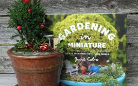 How To Gift A Miniature Garden The