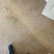nelson carpet cleaning 33 photos 42