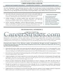 Chief Operations Officer Resume Download Coo Resume Sample