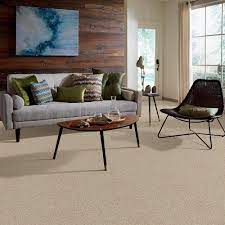 sepia textured interior carpet at lowes