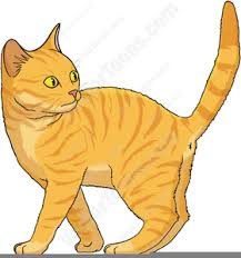 free clipart tabby cat free images at