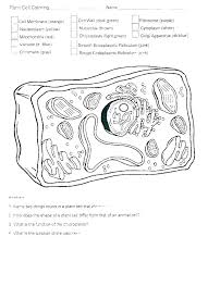 Showing top 8 worksheets in the category a typical animal cell. Cy 9826 Detailed Color Diagram Of A Plant Cell Free Diagram
