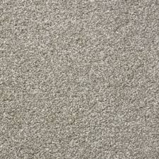 stainfree eternal deep pile saxony carpet