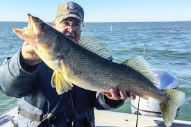Lake Erie 4 1 1 Lake Erie Walleye Fishing Tips Midwest