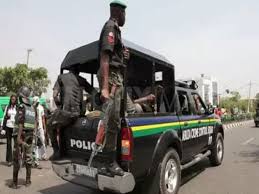 Image result for nigeria police shooting bus driver