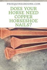 copper horseshoe nails pro equine grooms