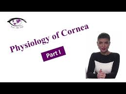 cornea part 1 of 3 eye dr tuti