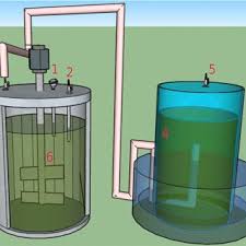 potential of biogas ion in
