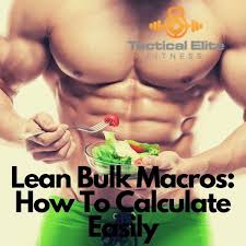 lean bulk macros how to calculate
