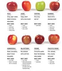 Fall Apples Guide Tumblr