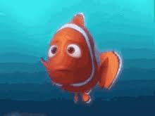 Discover more cute fish gif, find gif, finding nemo gif, fish gif, nemo gif. Finding Nemo Gifs Tenor