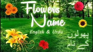 flower name in english and urdu
