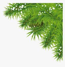 Browse our christmas tree png images, graphics, and designs from +79.322 free vectors graphics. Transparent Christmas Tree Transparent Png Tree Png Background Hd Png Download Transparent Png Image Pngitem