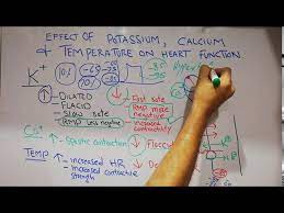 cvs physiology lecture 14 effect of