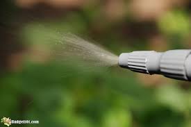 wasp spray natural ways to get rid of