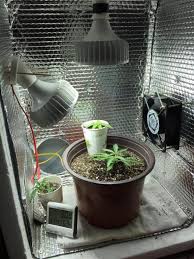 The complex variables involved in your diy grow room. Diy Grow Tent How To Build Your Own Grow Box 420 Big Bud