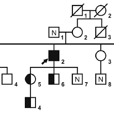 Pedigree Of The Indian Family With Acute Intermittent