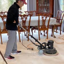 top 10 best carpet cleaning near marion