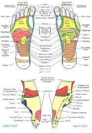 Reflexology Chart Head To Feet Reflexology Foot Chart