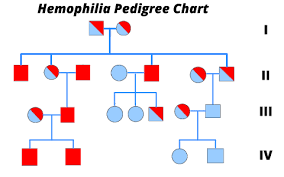 Hemophilia Pedigree Chart By Sean Powers On Prezi