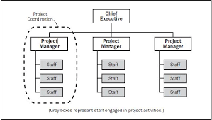 Projectized Organization Managingprojectsblog