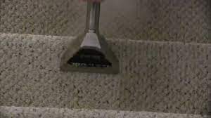 steam cleaning berber carpet stairway