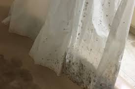 shower liners curtains mold and mildew