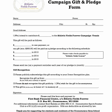 Fundraiser Pledge Form Template Fundraising Donorn Excel