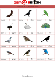 12 birds name in hindi and english