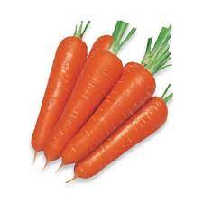 healthy farm fresh carrot for salads