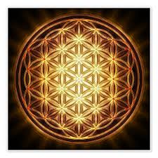 flower of life gold sun print by dirk