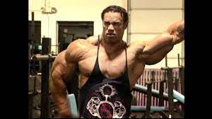 kevin levrone t and workout routine