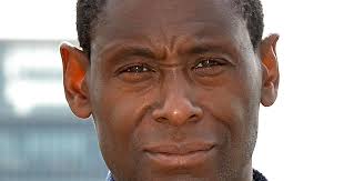 David harewood (born 8 december 1965) is an english actor of barbadian descent. Homeland Actor David Harewood Has Been Told To Go Home By Racists Since Brexit Irish Mirror Online