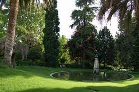 the royal botanical garden madrid