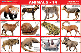 Spectrum Educational Charts Chart 544 Animals 14