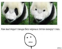 create meme panda without mascara